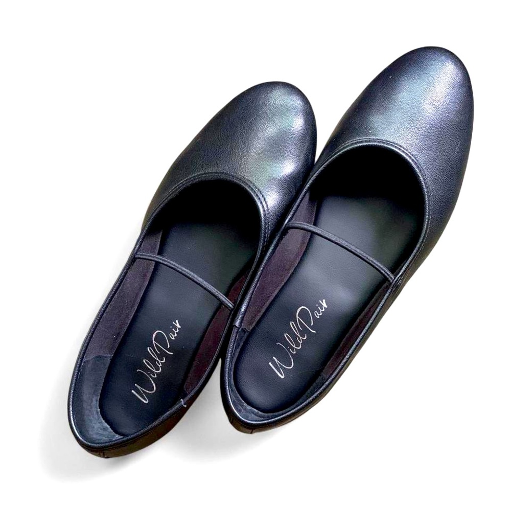 Wild Pair Black Ballet Flats 🥿 Like New